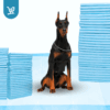 Home 82 Blue Pee Pads for Dogs - Bulk-Price
