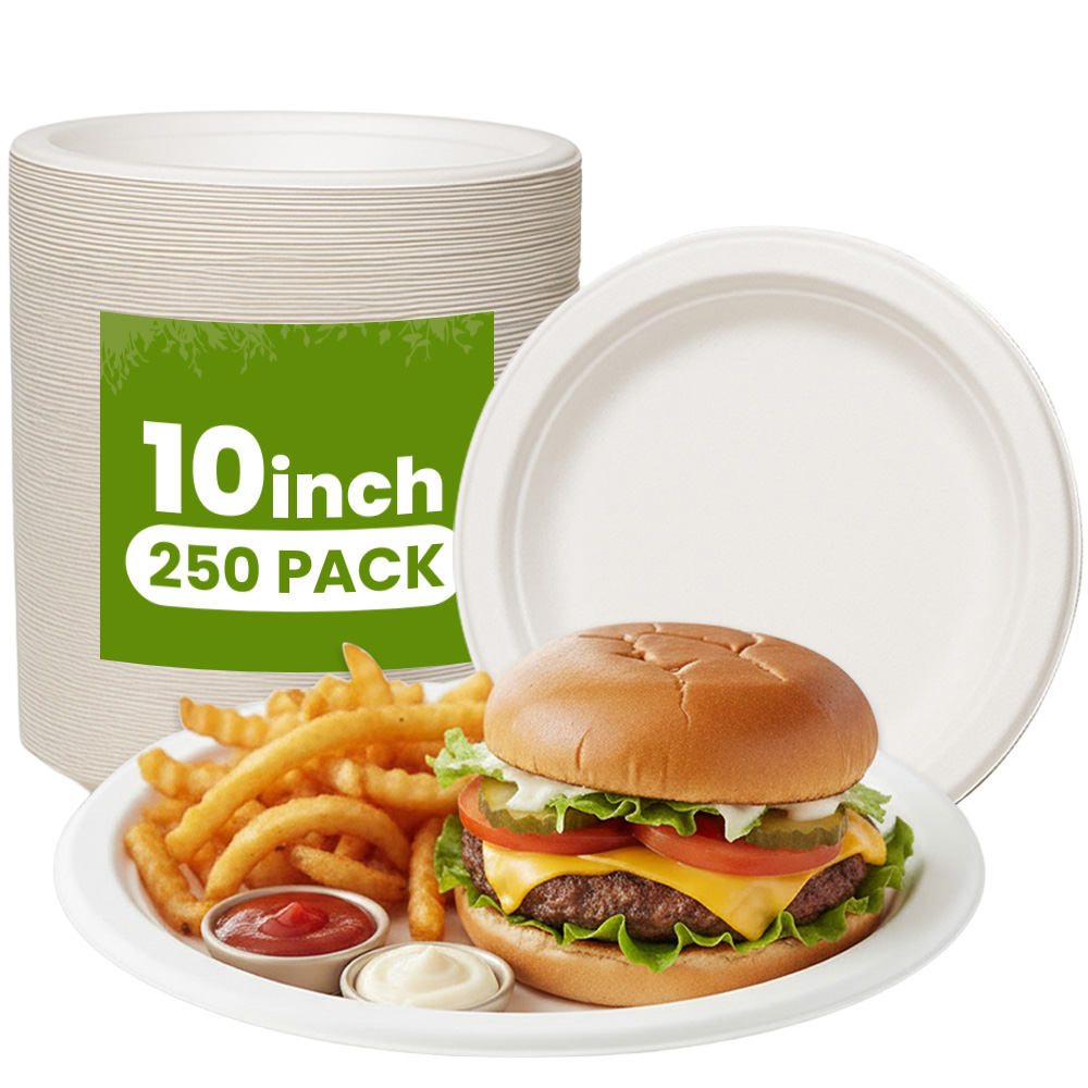10 inch round plate Biodegradable Round Plates 250 CT