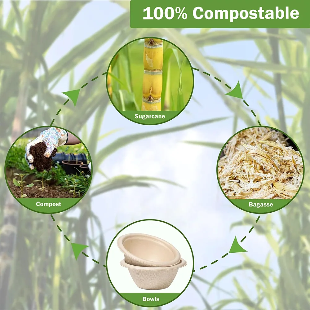 Biodegradable Brown Bowls 100 percent Compostable