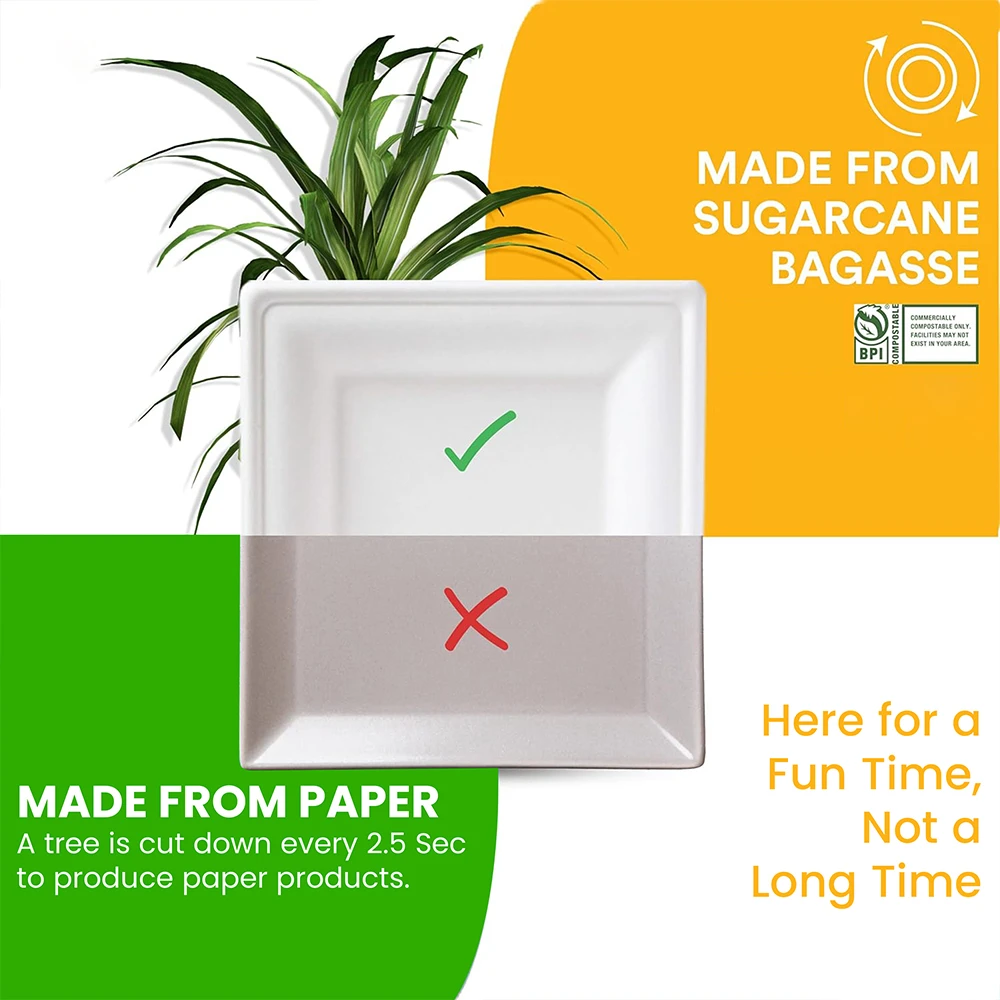 Biodegradable Plates Made from Sugarcane Bagasse and Paper