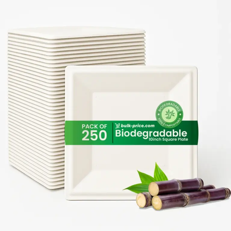 Biodegradable Square Plates Eco-Friendly Stylish and 100 Percent Compostable