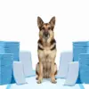 Home 84 Blue Pee Pad for Large Dogs - Leak-Proof and Super Absorbent