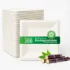 Biodegradable Square Plates – 6, 8 & 10 Inch - Eco-Friendly & Stylish - Bulk-Price