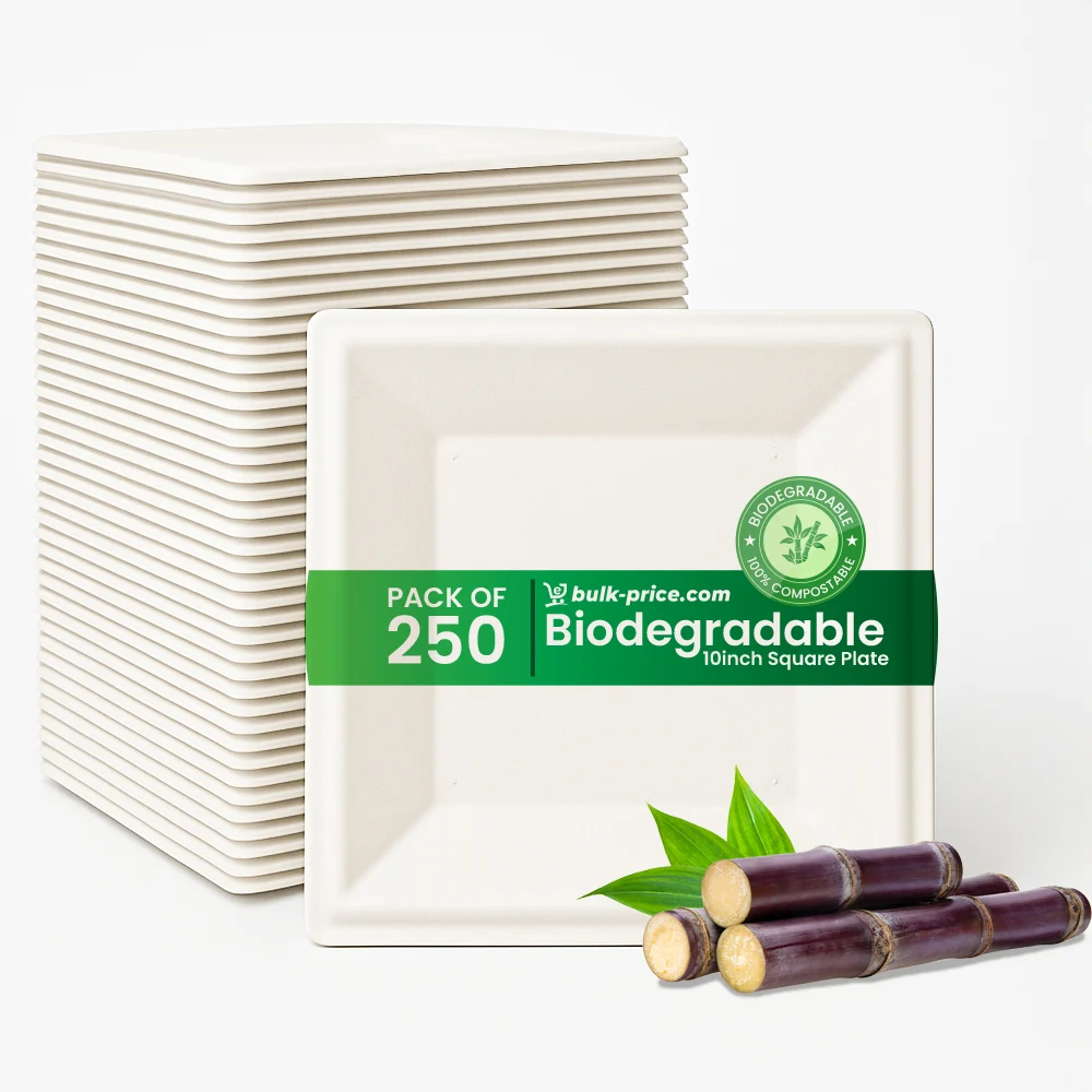 Biodegradable Square Plates – 6, 8 & 10 Inch | Eco-Friendly & Stylish