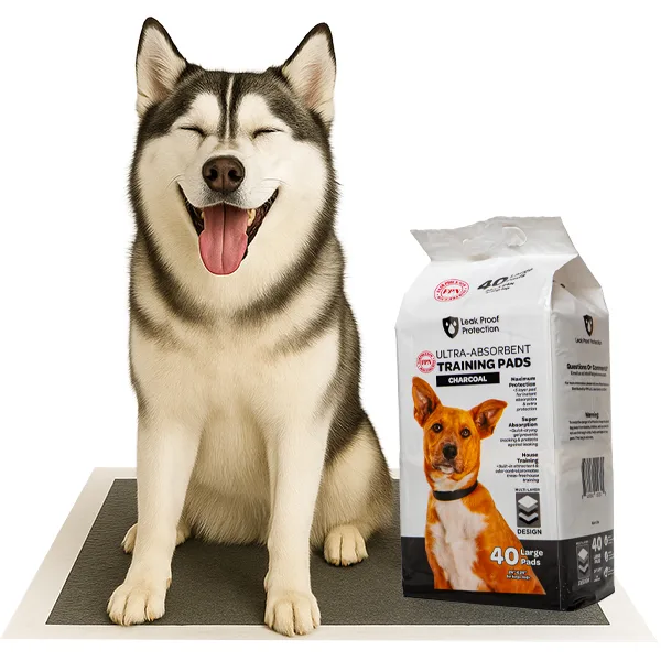 Large Dog Pee Pads 24×24 Inch – Leak-Proof, Odor Control, Quick-Dry