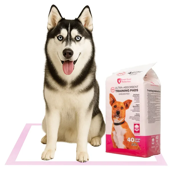 Large Dog Pee Pads 24×24 Inch – Leak-Proof, Odor Control, Quick-Dry