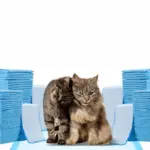 Medium Cat Pee Pads 18x24 Inch 600 CT Leak-Proof & Odor-Neutralizing