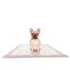 Pink Small Dog Pee Pads Leak-resistant High-absorbency