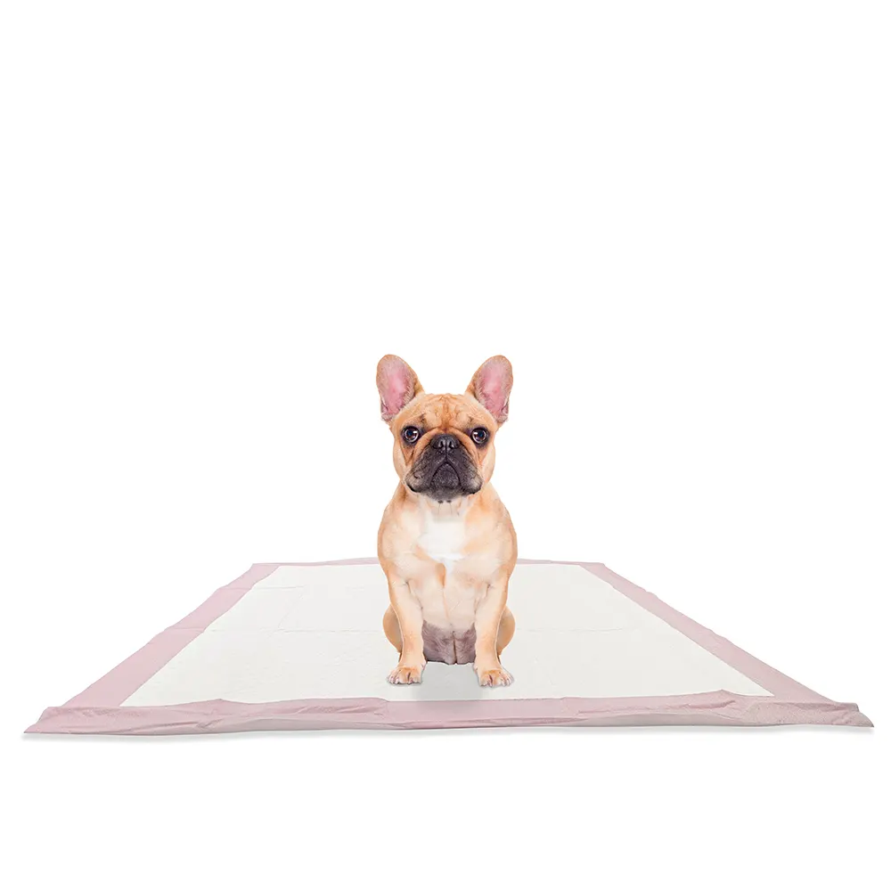 Pink Small Dog Pee Pads Leak-resistant High-absorbency