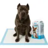XXXL Dog Pee Pads 36×48 Inch – Maximum Coverage, Leak-Proof, Odor Control