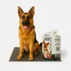 Extra Large Dog Pee Pads 24×36 Inch – Leak-Proof, Fast-Absorbent, Odor Control
