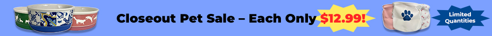 Closeout Sale Banner