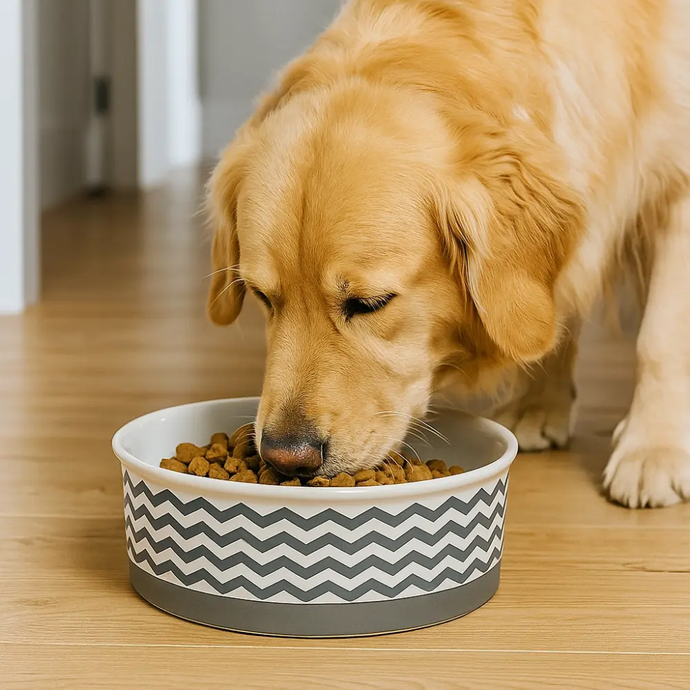 PET BOWL - CHEVRON GRAY - SMALL 4.25Dx2H - Order Now at Bulk-Price