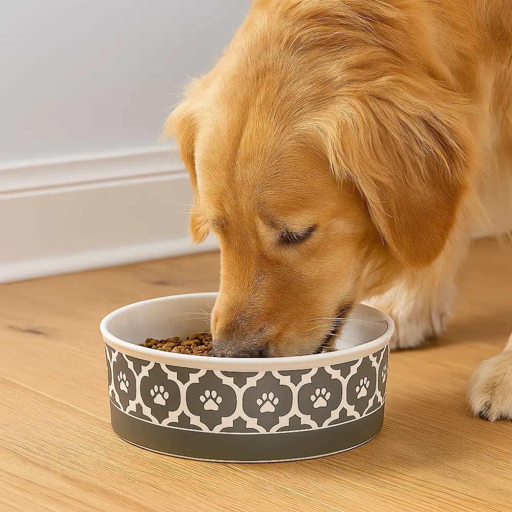 Lattice Gray Large Pet Bowl Set for food and the other for water