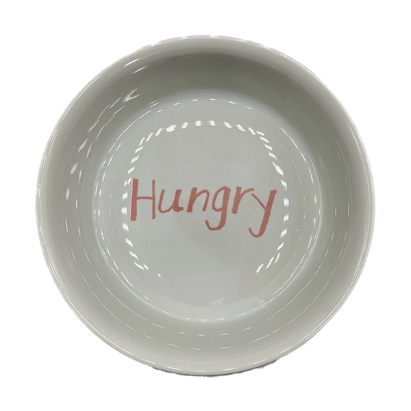 PET BOWL ASSORTED HUNGRY THIRSTY MEDIUM
