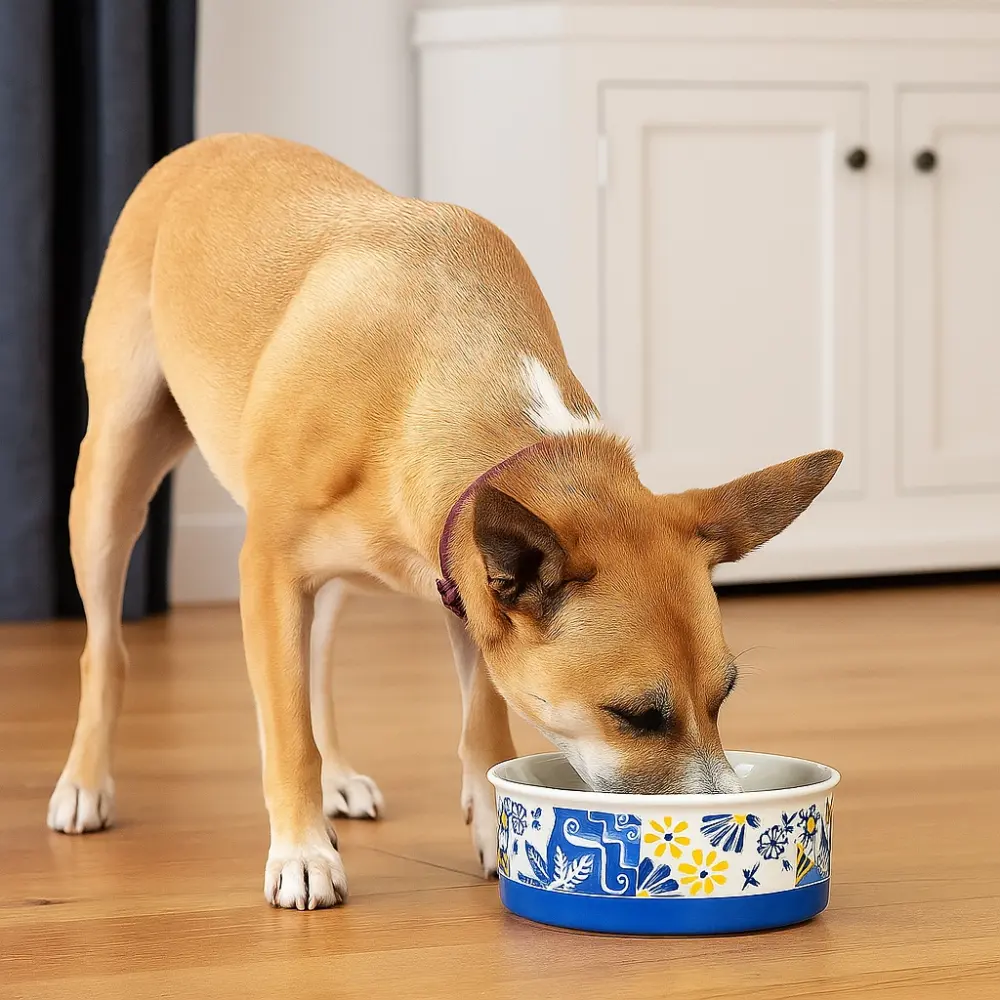 PET-BOWL-PORTUGUESE-AZULEJOS-LARGE-1