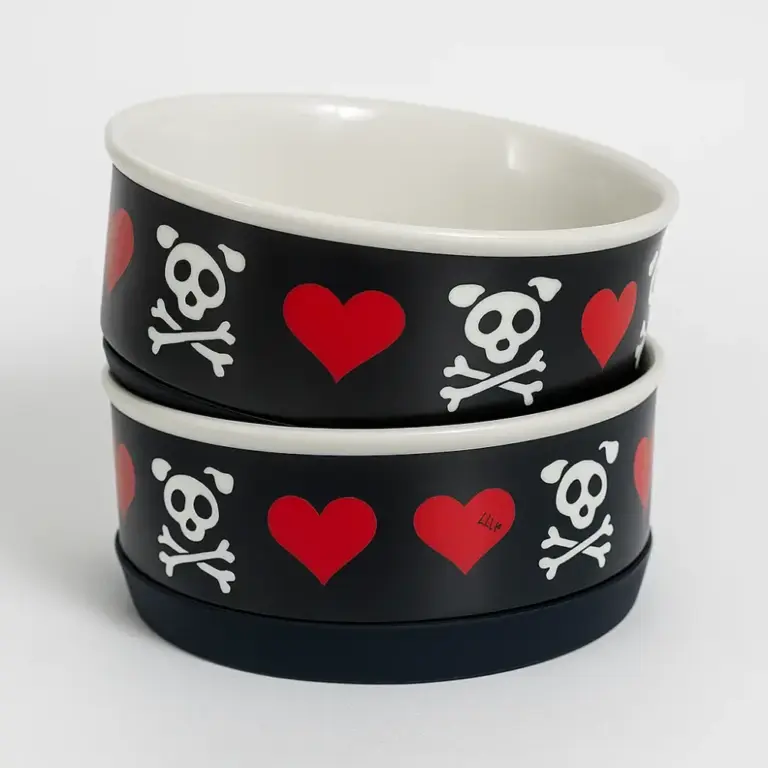 Small Bad to the Bone Pet Bowl Set of 2 Durable and Non-Slip