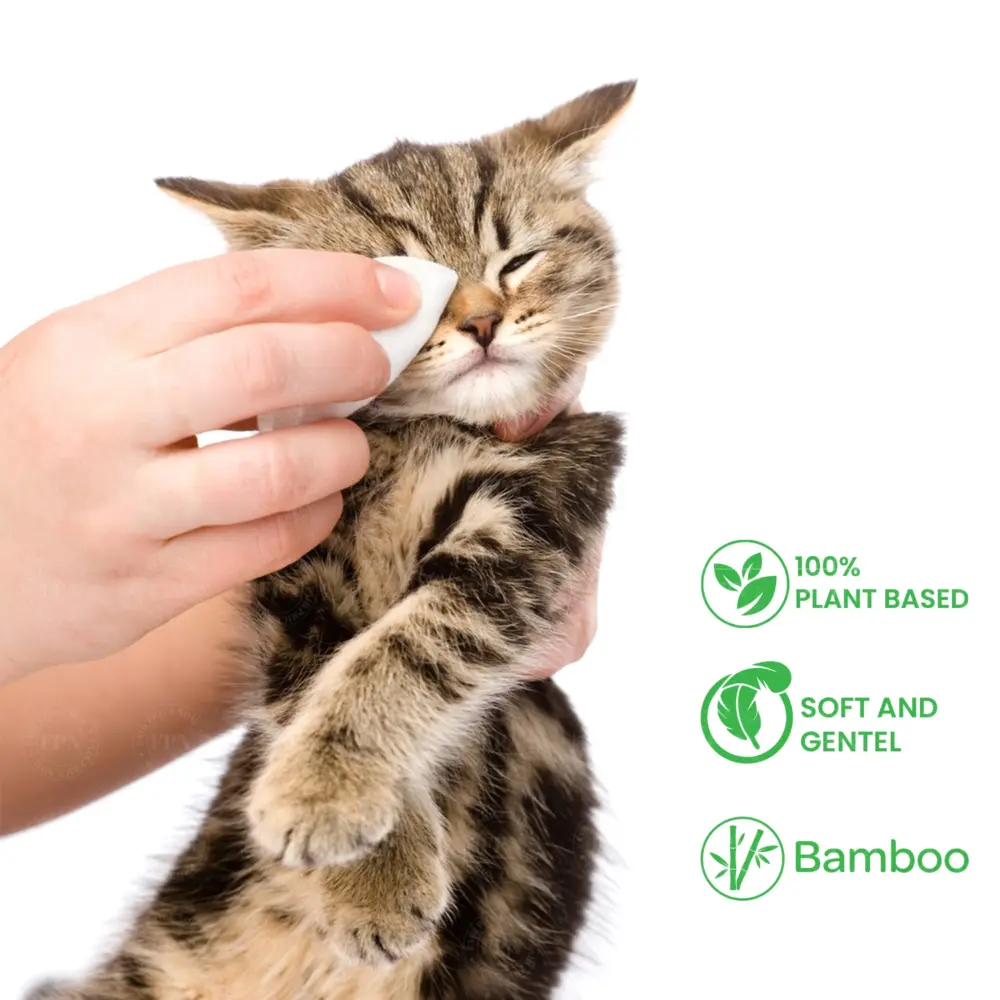Deodorizing Pet Wipes – Unscented, 100% Biodegradable, Bamboo-Based - Image 4