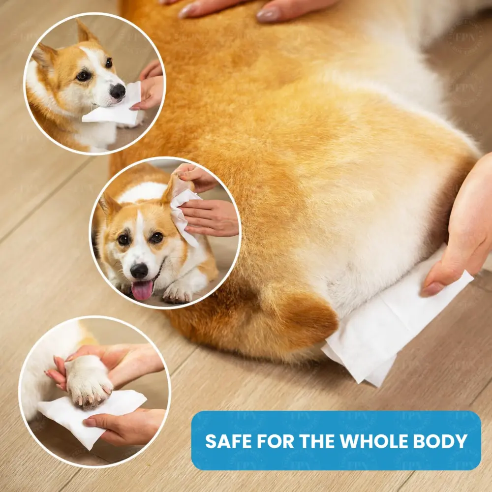Deodorizing Pet Wipes – Unscented, 100% Biodegradable, Bamboo-Based - Image 3