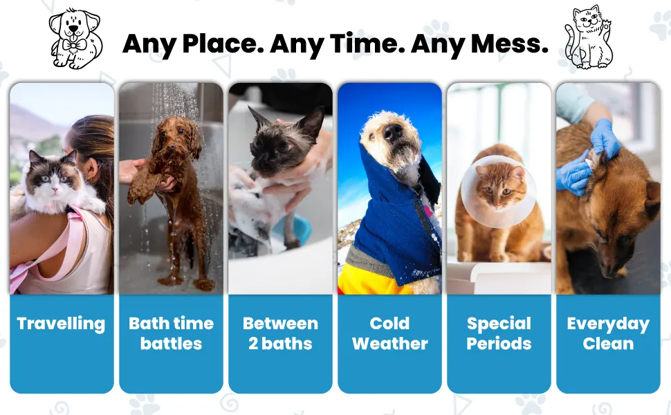 Deodorizing Pet Wipes – Unscented, 100% Biodegradable, Bamboo-Based - 60 Wipes 8 Pet wipes for any place and time—travel, bath time, between baths, cold weather, special periods and everyday cleaning for pets