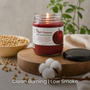 Apple Cinnamon Odor Eliminating Candle