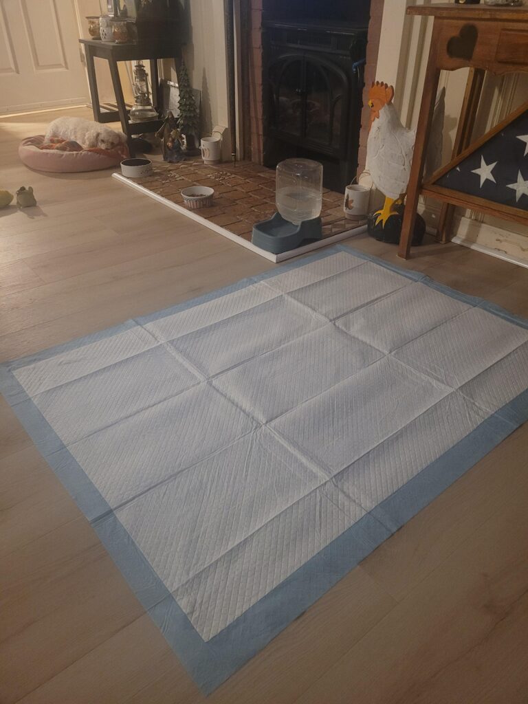 Image #1 from Connie Rodriguez