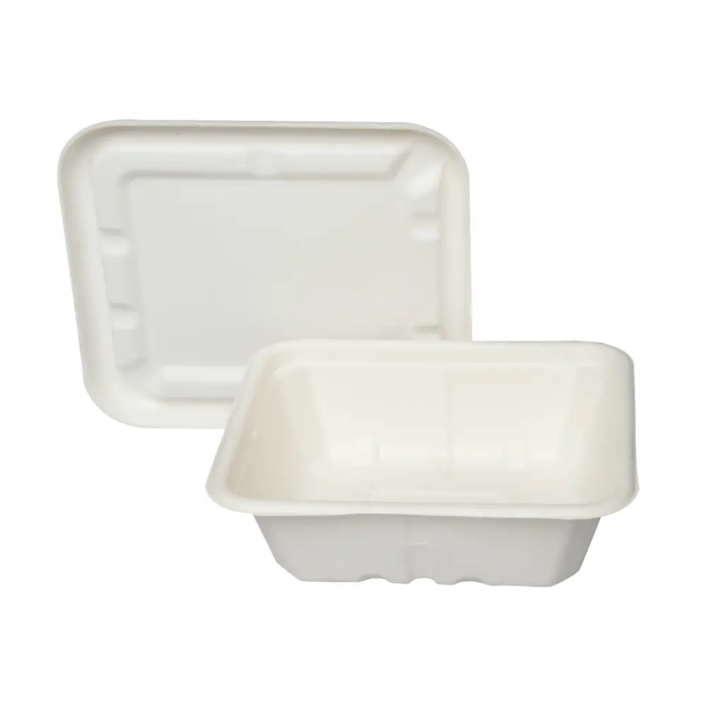 Compostable 25oz Bagasse Food Containers with Lid (750ml) – Eco-Friendly Takeout Boxes
