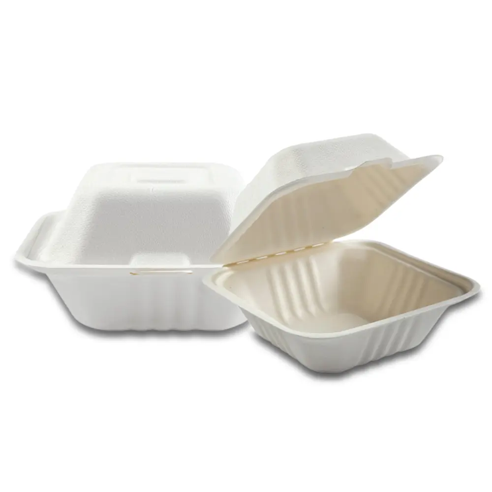 Disposable Bagasse Clamshell Containers | Compostable Takeout Boxes