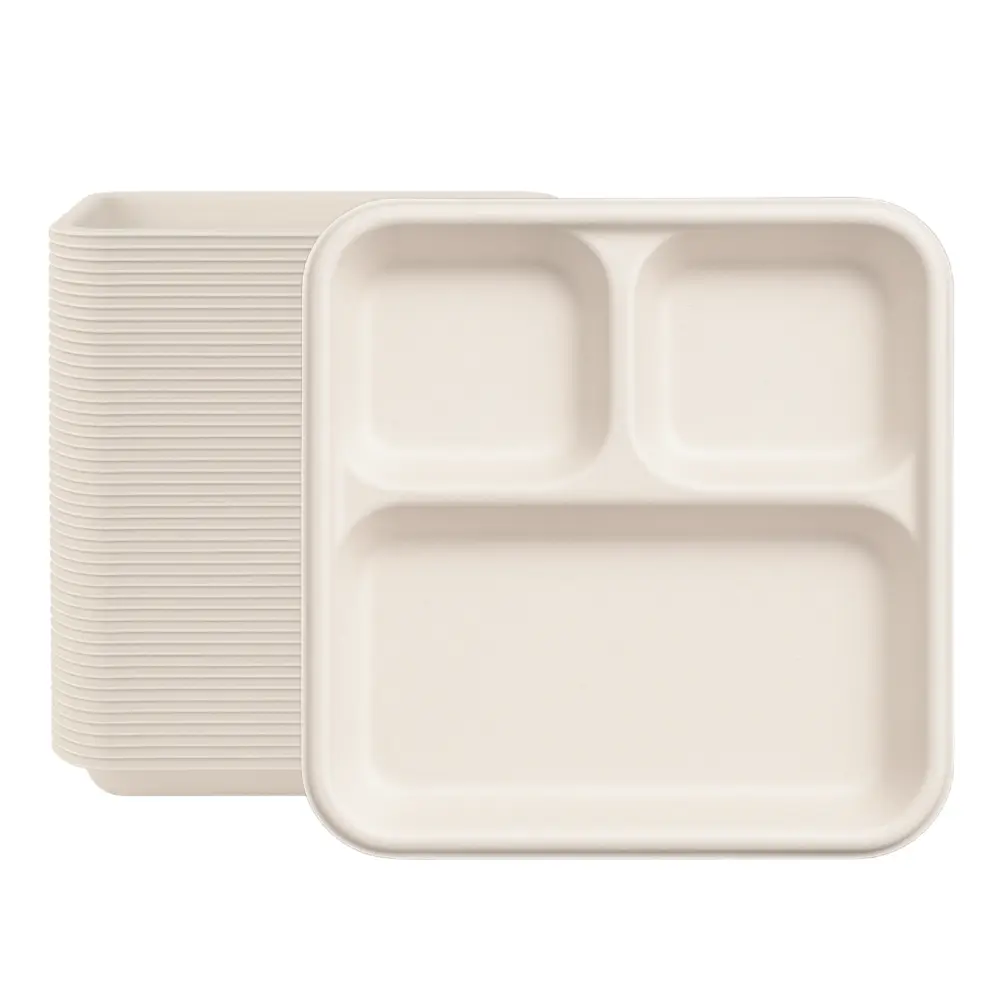 8inch-Square-3-compartment-tray-Hero