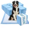 Dog sitting on 2XL training pad with stacks of blue disposable dog pee pads, 100 count 36x36-inch pack