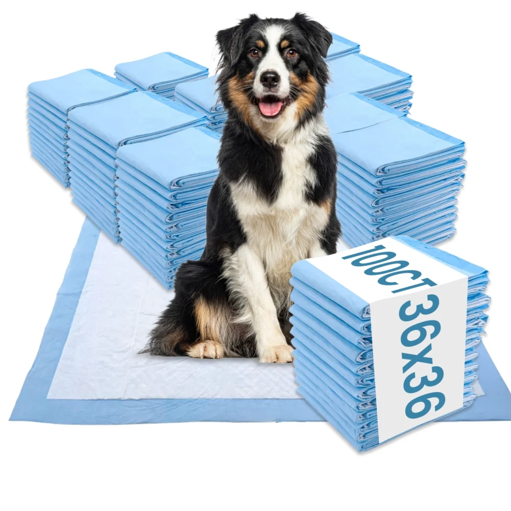 2XL 36x36-blue-100 Dog Training Pee Pads