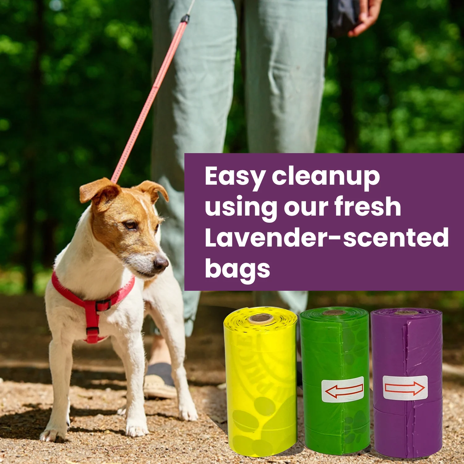 Dog & Cat Poop Bags Lavender Scented – 240 Count (Biodegradable, Leak-Proof, Odor-Control Waste Bags for Dogs, Fits All Dispensers) 2 All bags use lavender