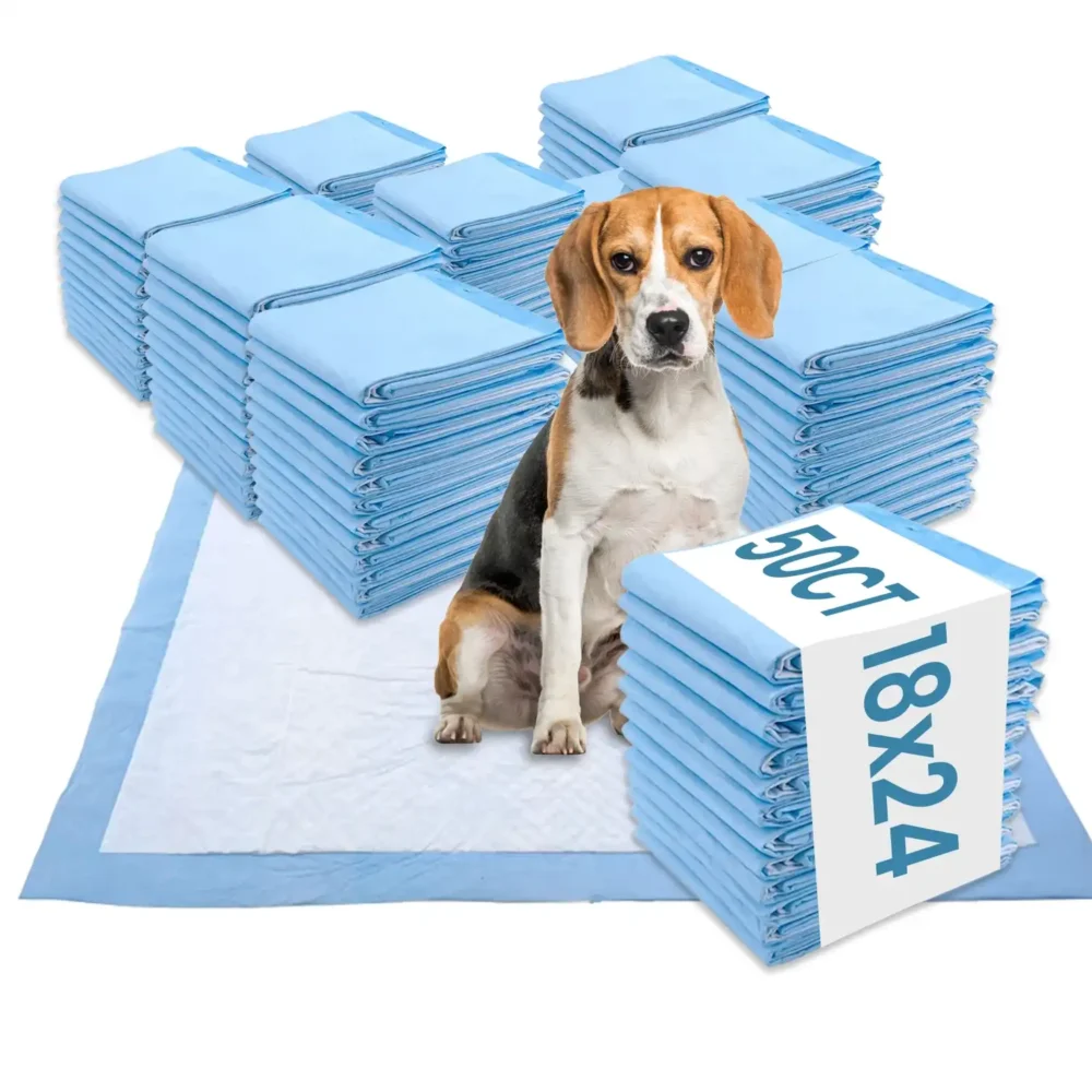 Dog sitting on medium training pad with stacks of blue disposable dog pee pads, 50 count 18x24-inch pack