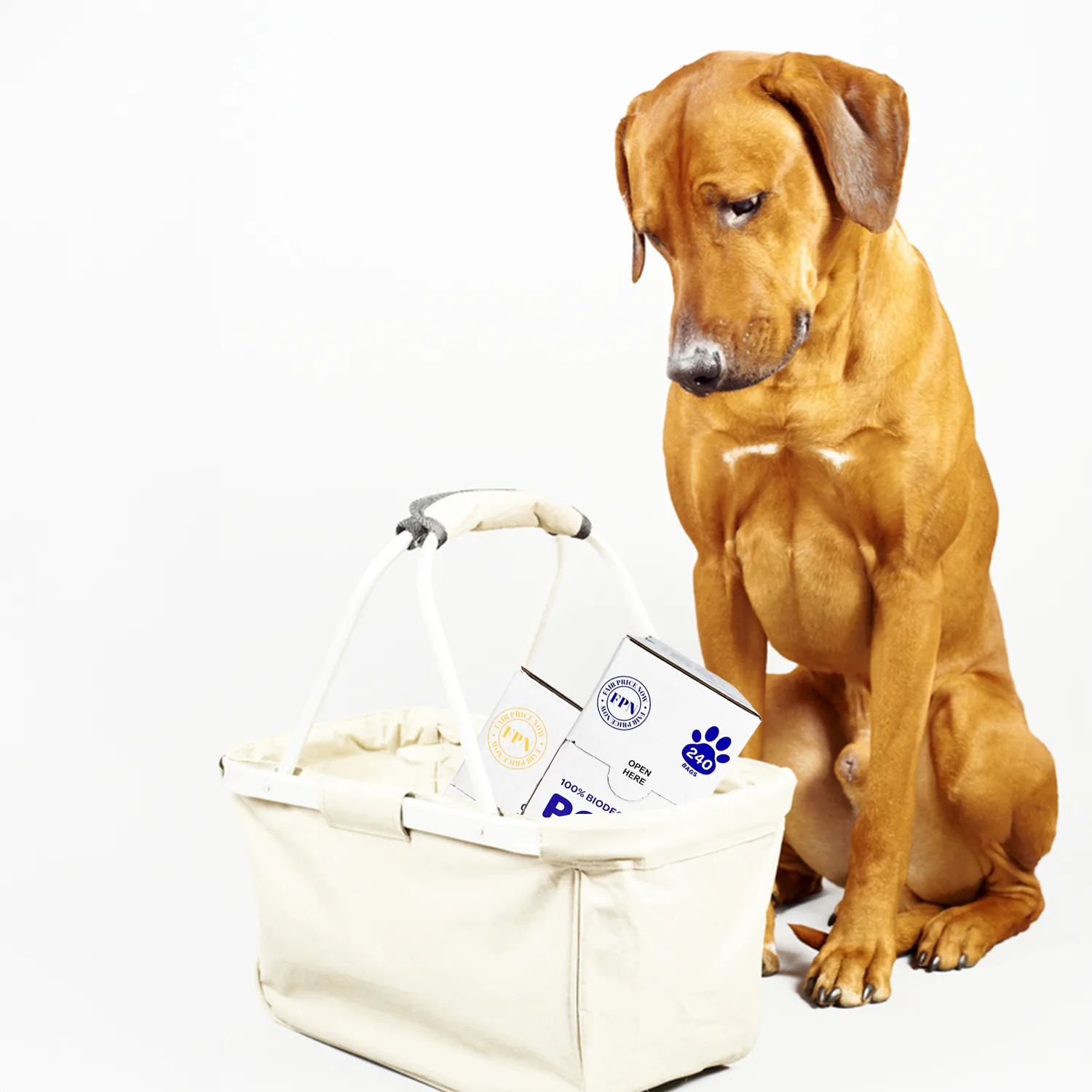 Dog & Cat Poop Bags Lavender Scented – 240 Count (Biodegradable, Leak-Proof, Odor-Control Waste Bags for Dogs, Fits All Dispensers) 6 poop bags listings Lavender-Life Style01