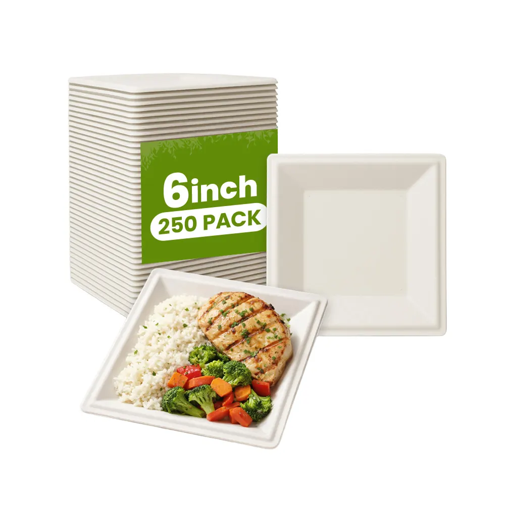 6 inch Square Plates Biodegradable Square Plates 250 CT