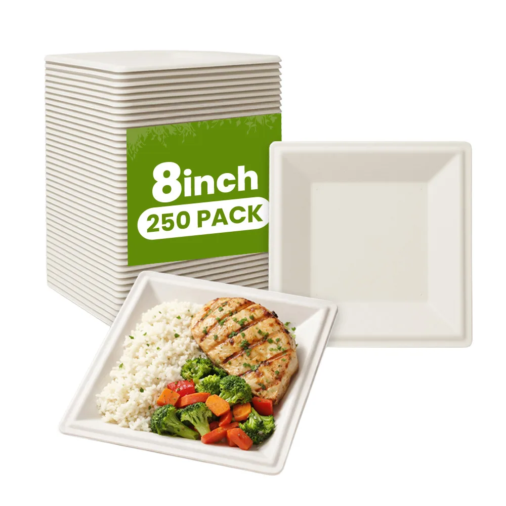 8 inch Square Plates Biodegradable Square Plates 250 CT