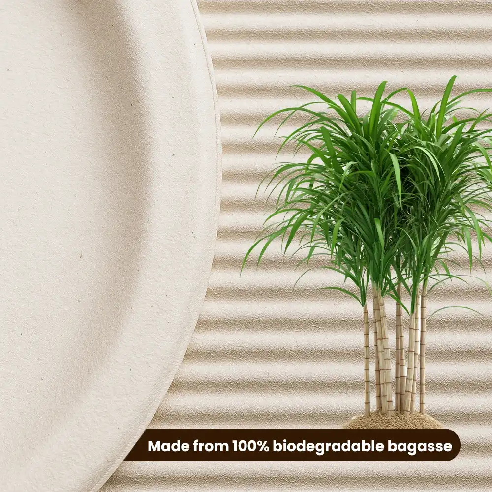 Biodegradable-Oval-Plates-Made-from-100-percent-biodegradable-Bagasse.webp Biodegradable Oval Plates