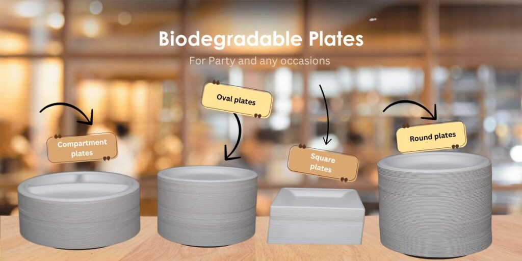 Biodegradable-Plates