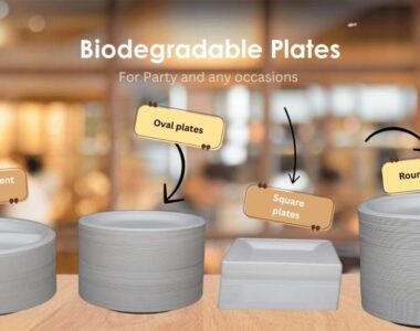 Biodegradable-Plates