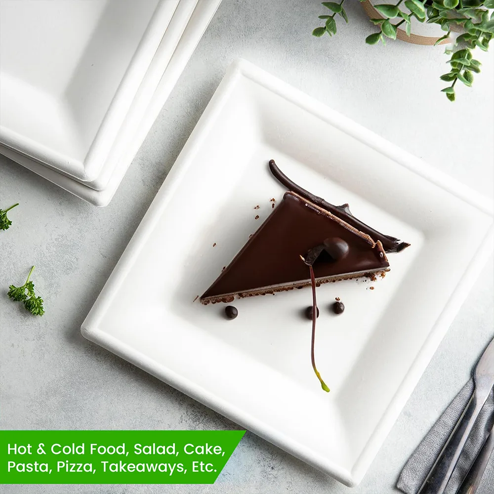Biodegradable-Plates-Made-for-Hot-and-Cold-food-Salad-Cake-Pasta-Pizza.webp Biodegradable Plates Made for Hot and Cold