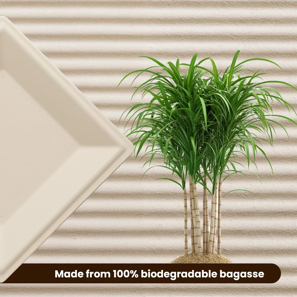 Biodegradable-Plates-Made-from-100-Percent-Biodegradable-bagasse.webp Biodegradable Plates