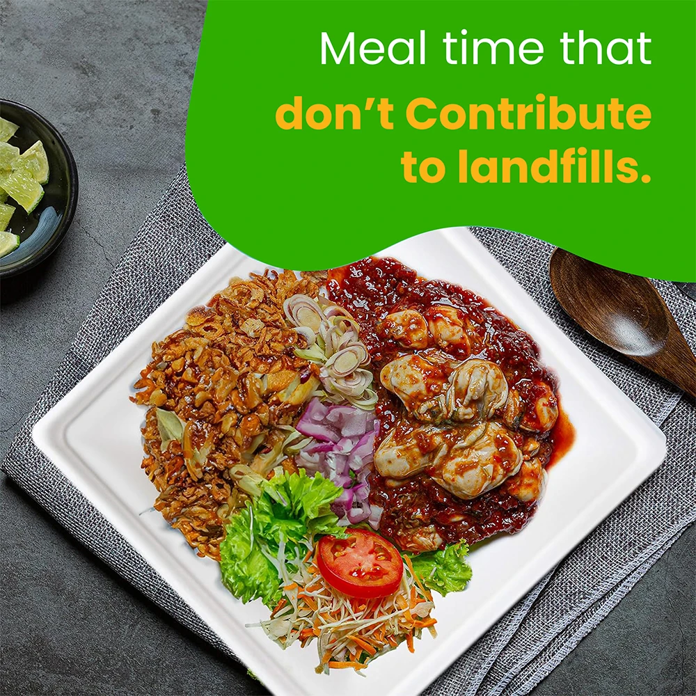 Biodegradable-Square-Plates-Meal-Time.webp Biodegradable Square Plates Meal Time