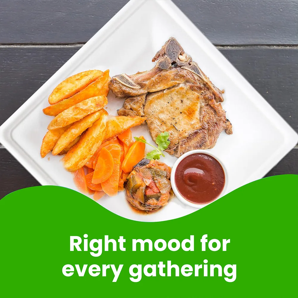 Biodegradable-Square-Plates-Right-mood-for-every-gathering.webp Biodegradable Square Plates