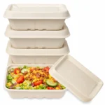 Compostable 25oz Bagasse Food Containers with Lid (750ml) – Eco-Friendly Takeout Boxes