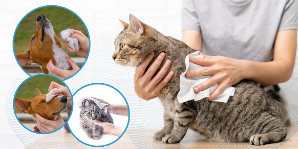 Deodorizing Pet Wipes-Unscented for Daily Pet Care-Bulk-Price-com