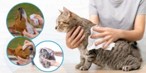 Deodorizing Pet Wipes-Unscented for Daily Pet Care-Bulk-Price-com