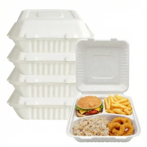 Disposable 9x9 3-Compartment Eco-Friendly Clamshell Food Boxes Takeout