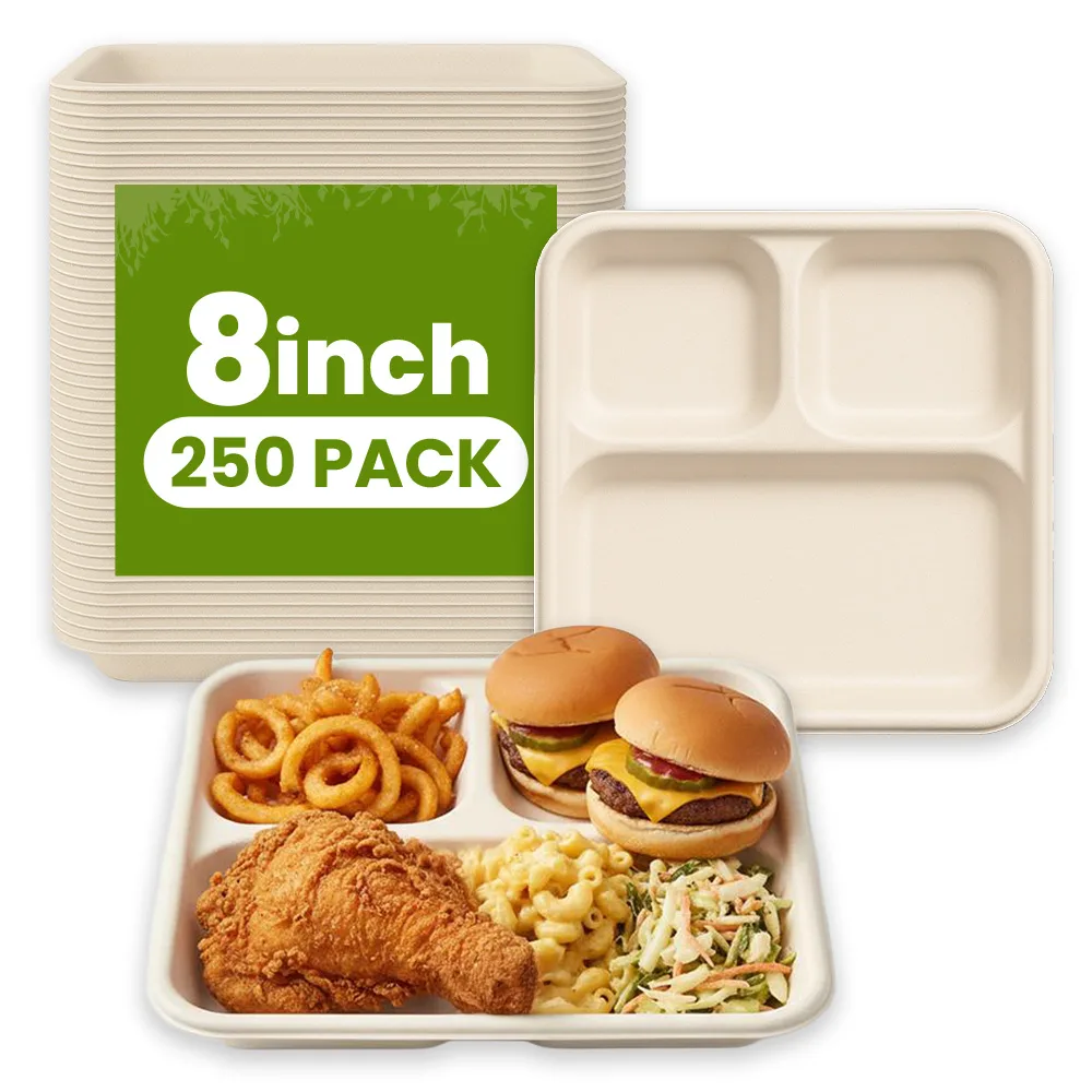 Disposable Square 3 Compartment Plates 250 CT