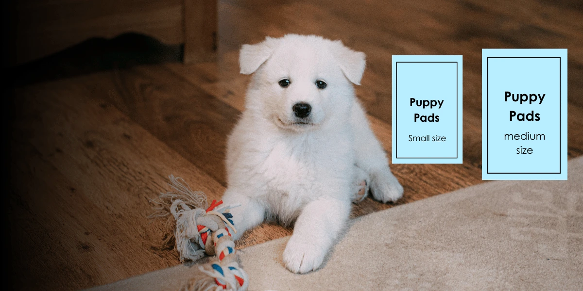 The Ultimate Guide to Puppy Pads Affordable Solutions for Clean Living