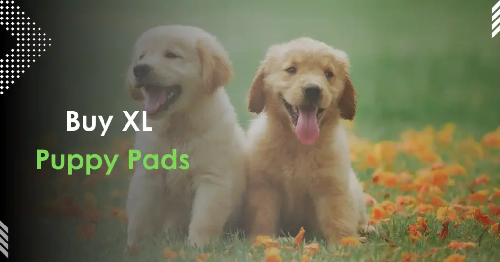 XL Puppy pads
